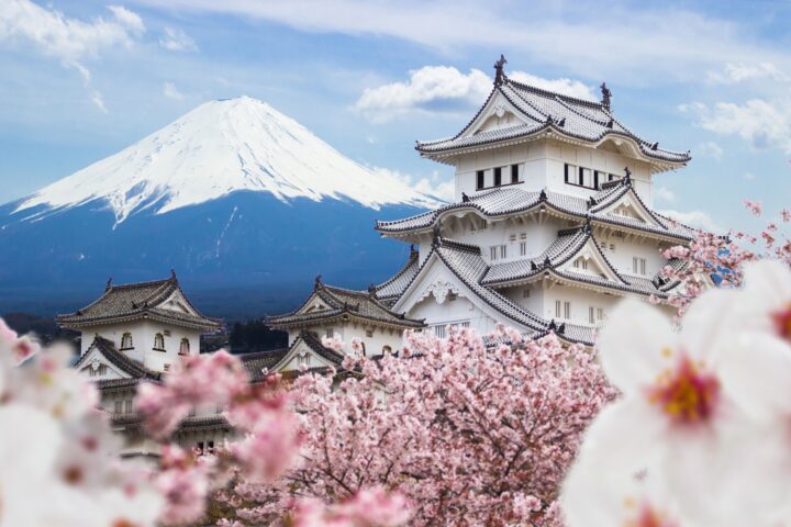 Japán igazi csábereje – A cseresznyefa-virágzás