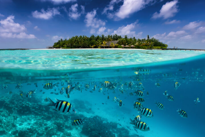 Maldív-szigetek resort & lakott szigeten