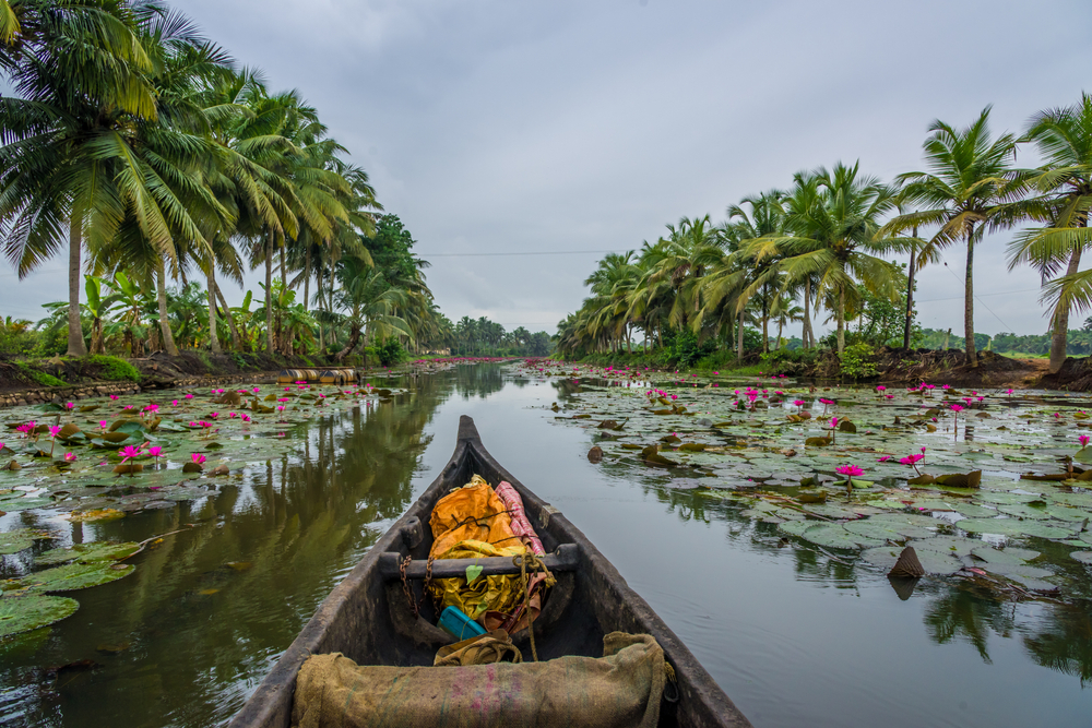 Kochi