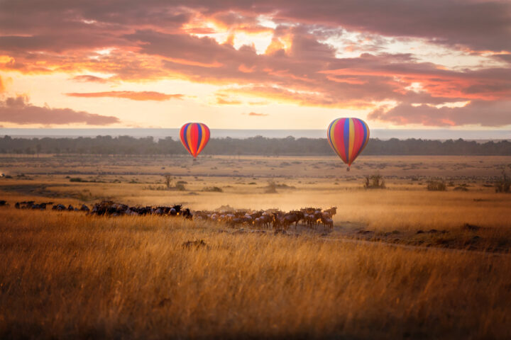 Kenya – Privát szafaris nagykaland
